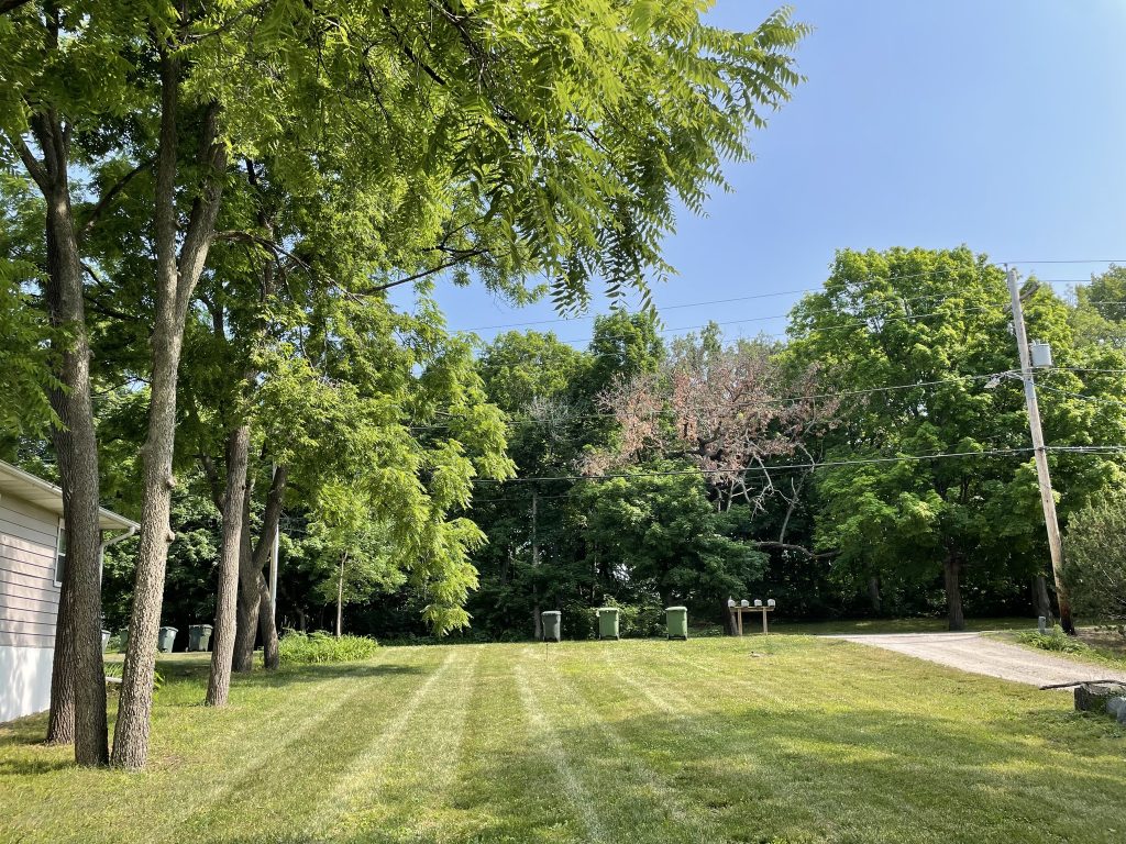 Landscaping in Ankeny, IA