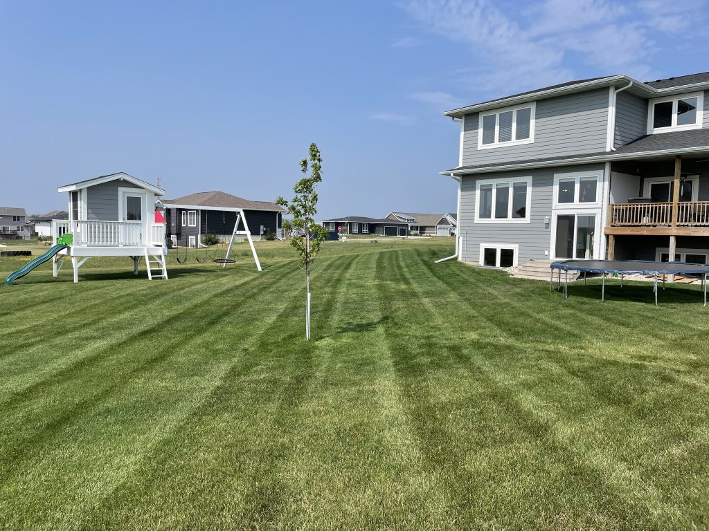 Landscaping in Ankeny, IA Landscaping in Ankeny, IA