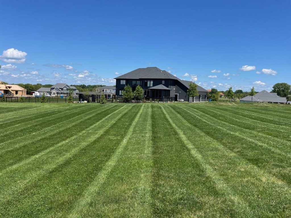 Landscaping in Ankeny, IA