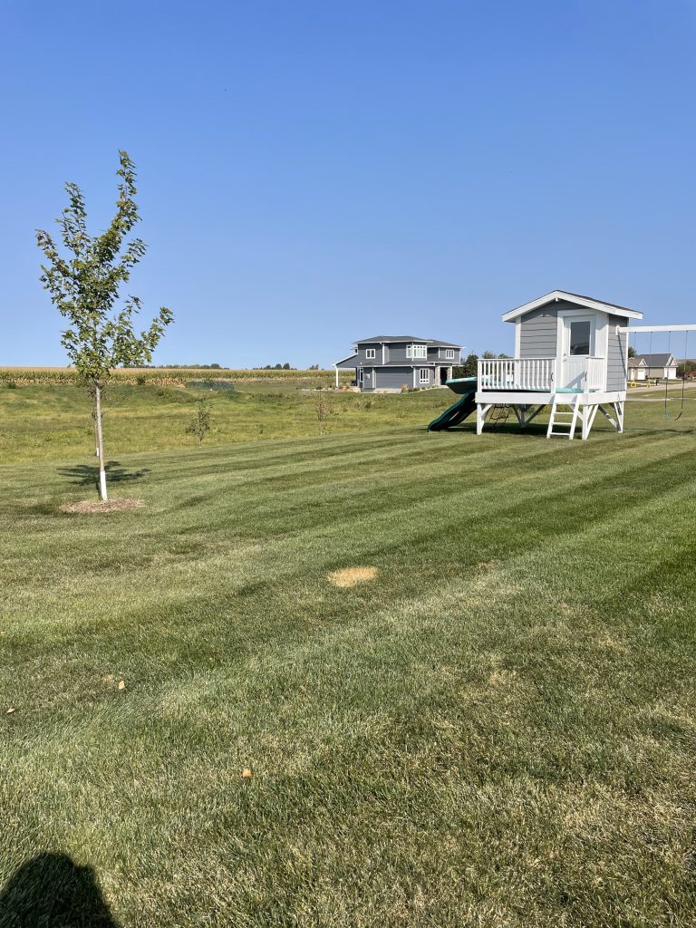 Landscaping in Ankeny, IA